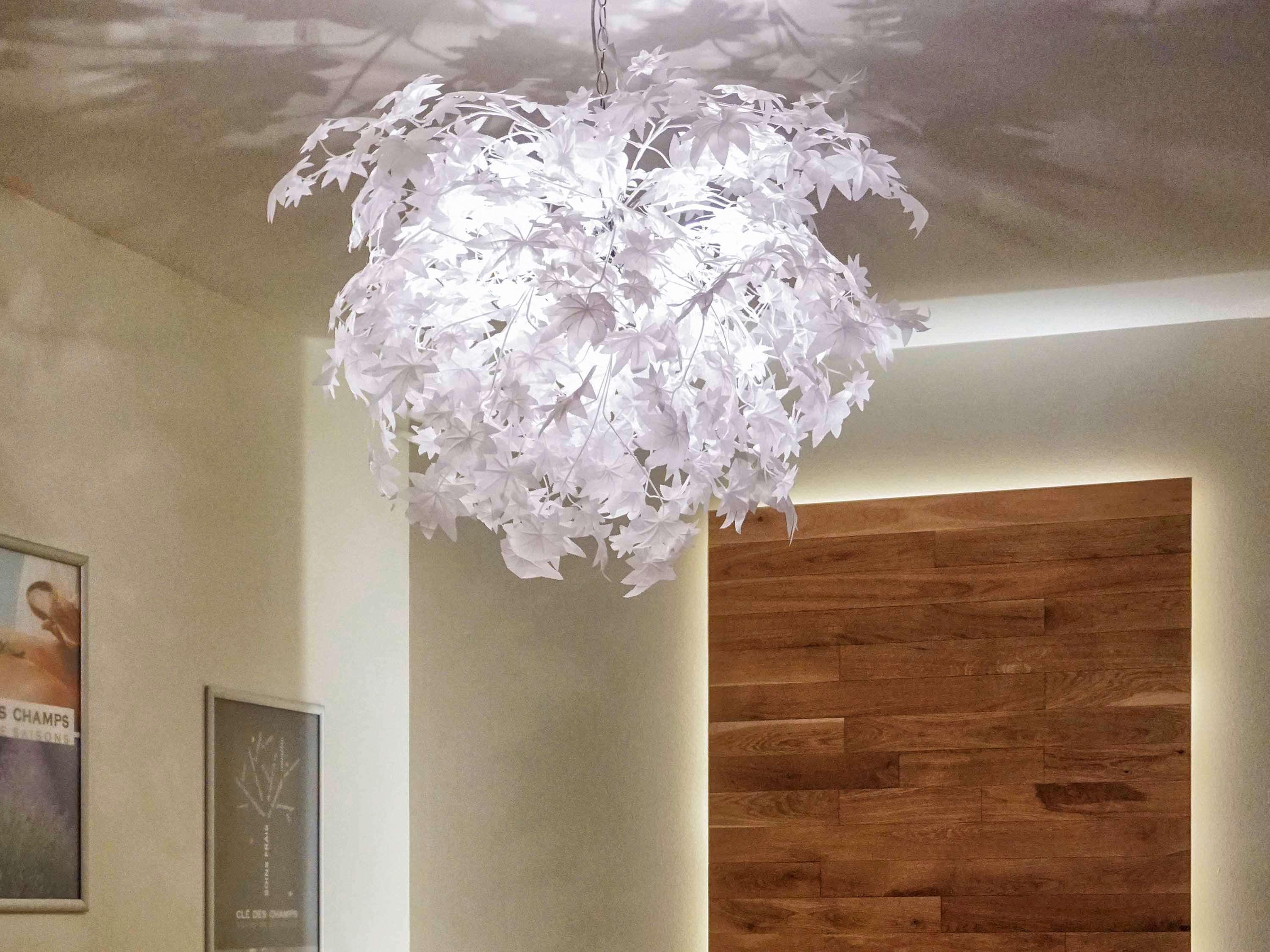 Hotel Mercure Saint-Nectaire Spa & Bien-Etre エクステリア 写真